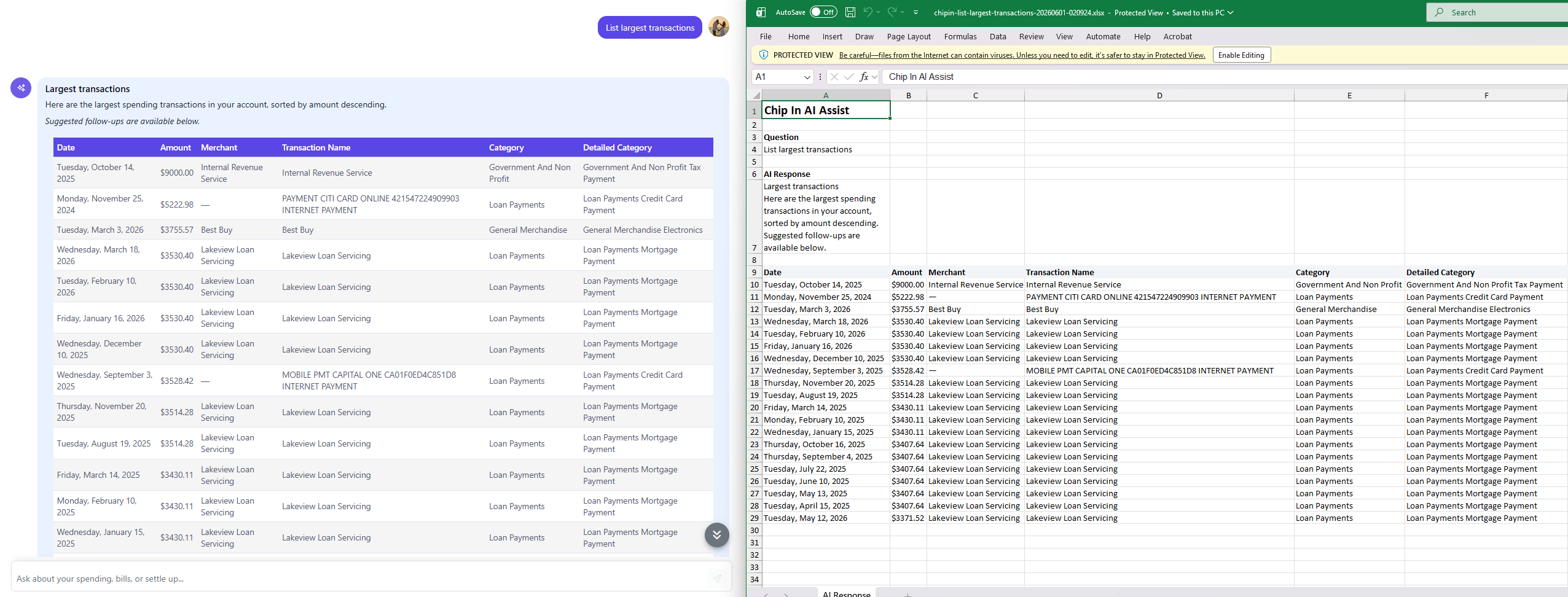 AI Excel export preview in Chip In