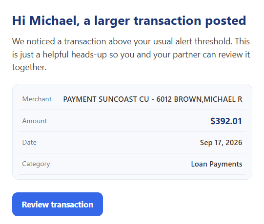 Large Transaction email example